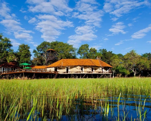 Leonardo DiCaprio e amigos de Hollywood se hospedam em uma fazenda no Pantanal