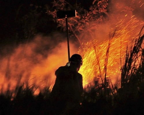Sesc Pantanal abre novo dia de inscrições presenciais para vagas de brigadista em Poconé
