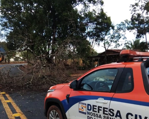 Chuva e vento forte atinge Livramento e deixam árvores caídas na Rodovia MT-060
