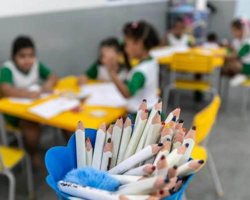 Municípios de MT iniciam construção do novo Plano Municipal de Educação