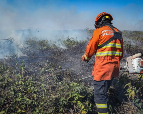 Força-tarefa enfrenta vários incêndios florestais e monitora infratores via satélite em MT